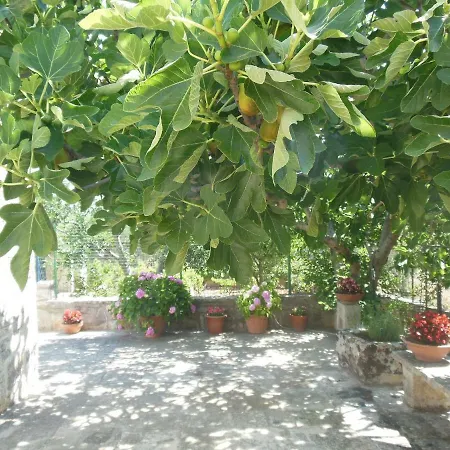 Fior Di Trullo Apartment