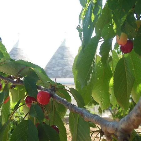 Apartment Fior Di Trullo