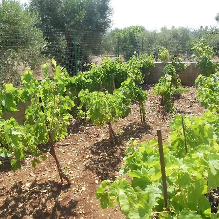 Apartment Fior Di Trullo