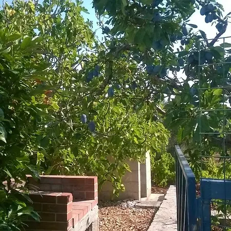 Apartment Fior Di Trullo