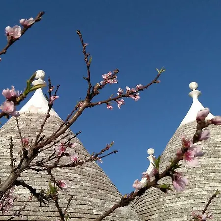 Apartment Fior Di Trullo *